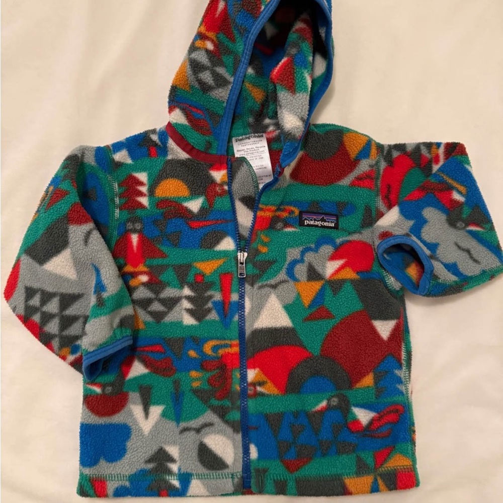 Patagonia Multicolor Fleece Jacket with Hood